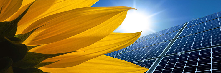 Відновлювальна енергетика у 2015 році: стан та перспективи розвитку в Україні